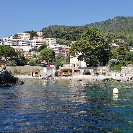 Charmant Studio Climatise Avec Parking, Au Coeur De Pietranera, Plage A 500M, Bastia A 2Km Ville-di-Pietrabugno Dış mekan fotoğraf